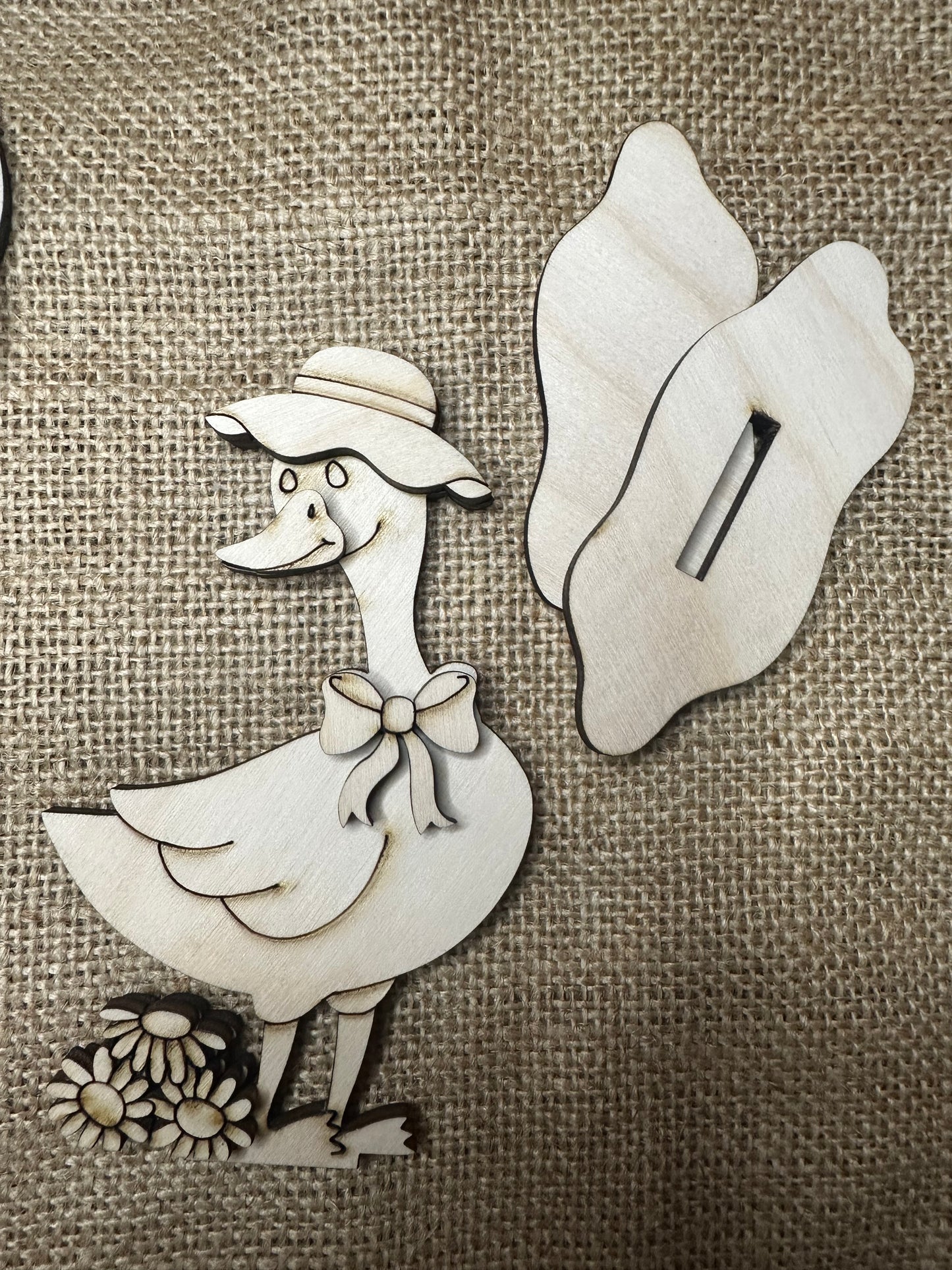 Spring Goose Friends